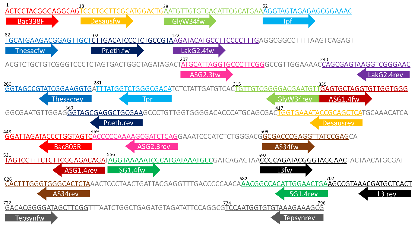 MATERIAL UND METHODEN 2.7.9 Titerbestimmung der Isolate in Biogasanlagen mittels qpcr Die Quantifizierung der Isolate in Biogasanlagen erfolgte mit Hilfe der qpcr nach der Methode von May et al.