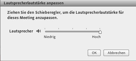 Die einzelnen Fenster im Detail Wichtig für Webinare Meeting : Hier starten Sie den Assistenten für die Audio-Einrichtung Schritt für Schritt testen Sie die Funktionalität Ihrer