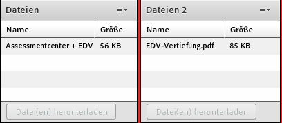 jpg -> Begrüßungsgrafik Dateien (2- ) In diesem Fenster finden Sie von connect, Ihrem Tutor oder Ihrem Dozenten eingestellte Dateien,