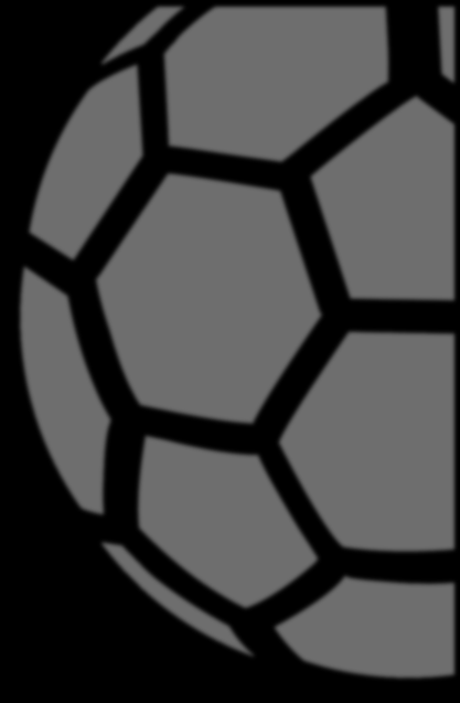 Der Bayerische Fußball-Verband Digitale Medien und Plattformen Die digitalen Kommunikationskanäle des Bayerischen Fußball-Verbandes sind DIE Plattformen