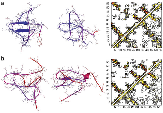 TSEs of SH3 domains from -spectrin and Fyn (a,b) TSEs of (a) -spectrin SH3 domains and (b ) Fyn SH3 domains. Color coding according to the conformational variability as before.