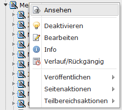 3.2.1 Bearbeiten von Inhalten Zum Ändern von Inhalten einer bestehenden Seite wird die Seite im Seitenbaum (siehe 3.1 Screenshot) angewählt.