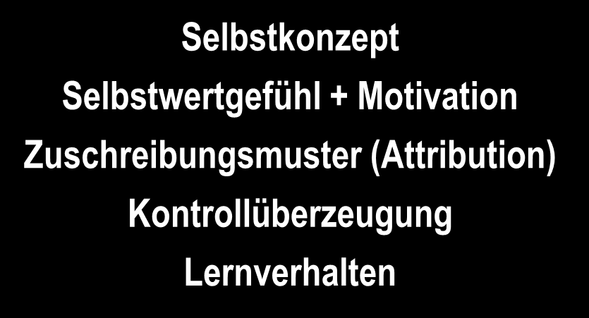 Zusammenhang zwischen Leistung und Einstellung (modifiziert nach von Aster, 1997) Erzielte Leistung Selbstkonzept Selbstwertgefühl + Motivation