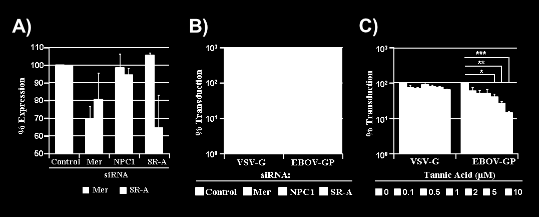 102 three independent experiments, error bars indicate SEM. FIGURE 8 FIG. 8. Specificity of sirna knock-down of Mer and SR-A expression.
