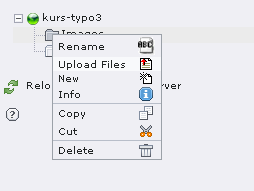Im Seiten- und Dateienbaum sind Kontextmenüs mit vielen nützlichen Befehlen verfügbar.