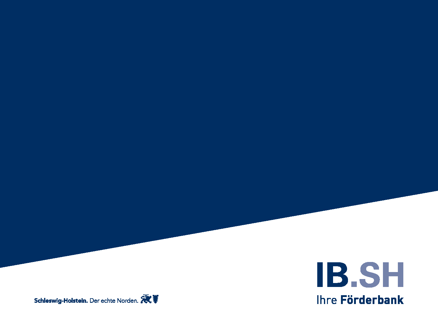 Investitionsbank Schleswig-Holstein Firmenkunden Beratung und Finanzierung Ulrike Kiehne 0431 9905-3363 Christian Hank 0431 9905-3368