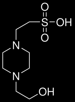 Einleitung Abbildung 5: HEPES (von Sigma-Aldrich) Abbildung 6: Calciumchloriddihydrat (von Sigma Aldrich) 2.3.