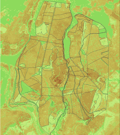 landconsult.de - Geographic Information on Demand Beispiel 5.2: Einsatz des Verfahrens zur Ermittlung des Bestandesvorrats über die Ertragstafel auf großer Fläche ca. 2000 Meter ca.