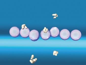 Beispiel: Ionenaustauscher-Adsorption (2/3) Funktionsweise Was sind Ionenaustauscher?