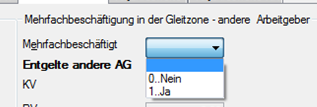 Darüber hinaus wird in der Rückmeldung an die Arbeitgeber (Krankenkassenmeldung) ein zusätzliches Feld über die maßgeblichen SV-Tage eingefügt.