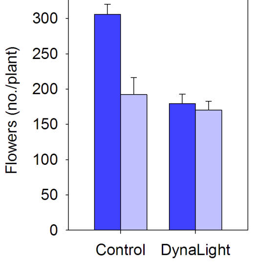 Pflanzenreaktion auf DynaLight? (Mærsk-Møller et al.