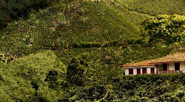 Kolonialschätze, Kaffee und Karibik 21. September bis 4. Oktober 2016 Kolumbien ist ein faszinierendes Reiseland. Ein Land voller Farbnuancen.
