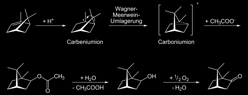 3. Umlagerungen - 3.3. Umlagerungen an Carbokationen Von -Pinen zu Kampher (2-Bornanon): Wagner-Meerwein Uml.