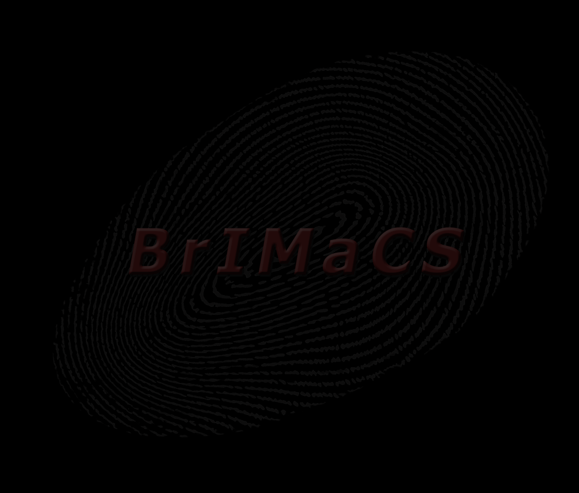 BrIMaCS Brühl Interim Management and Consulting Solutions