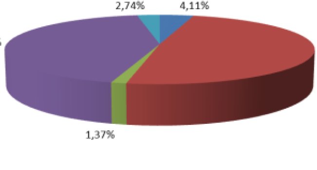 IT-Sektor 2011 (I) Geschäftsstruktur des IT-Sektor (Anteil am Umsatz) 42,92% 2,74% 4,11% 48,86% Handel (Hardware, Software, Lizenzen) IT-Dienstleistungen (Consulting, Support, Training )