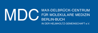Helmholtz-Gemeinschaft Deutscher Forschungszentren > Größte Wissenschaftsorganisation Deutschlands 16 Forschungszentren 30 000 Mitarbeiter 3 Milliarden Euro Jahresetat > Grundlagenforschung
