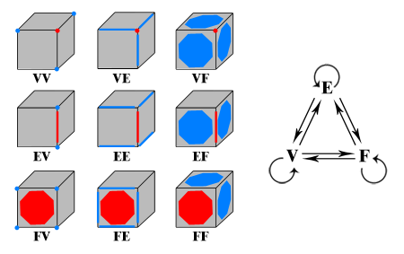 6 2. GRUNDLAGEN DER ANIMATION POLYGONALER 3D-MODELLE Seite befinden sich jeweils die Nachbarn (blau) des betrachteten Elementes (rot). Rechts visualisiert ein Graph diese Beziehungen. Abbildung 2.