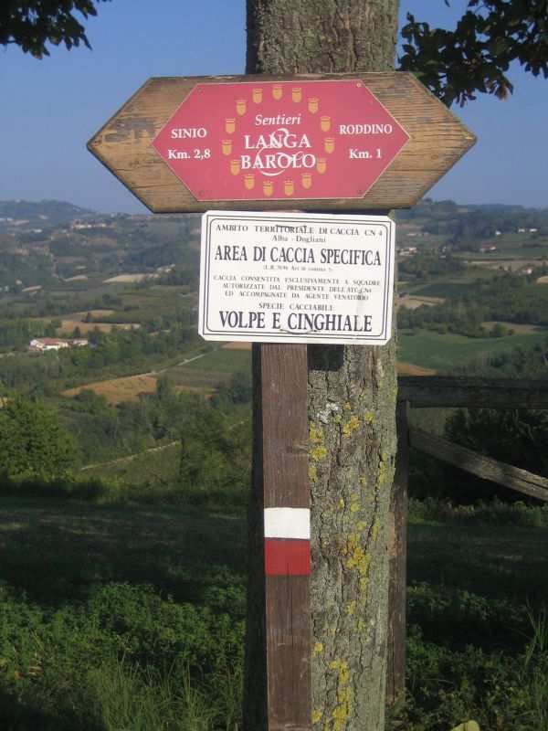 Schlemmen im Piemont unterwegs zu Barolo; Barbera & Co. 10.05. 17.05.2014 Piemont: bei kaum einer anderen Region Italiens kommen Genießer mehr ins Schwärmen.