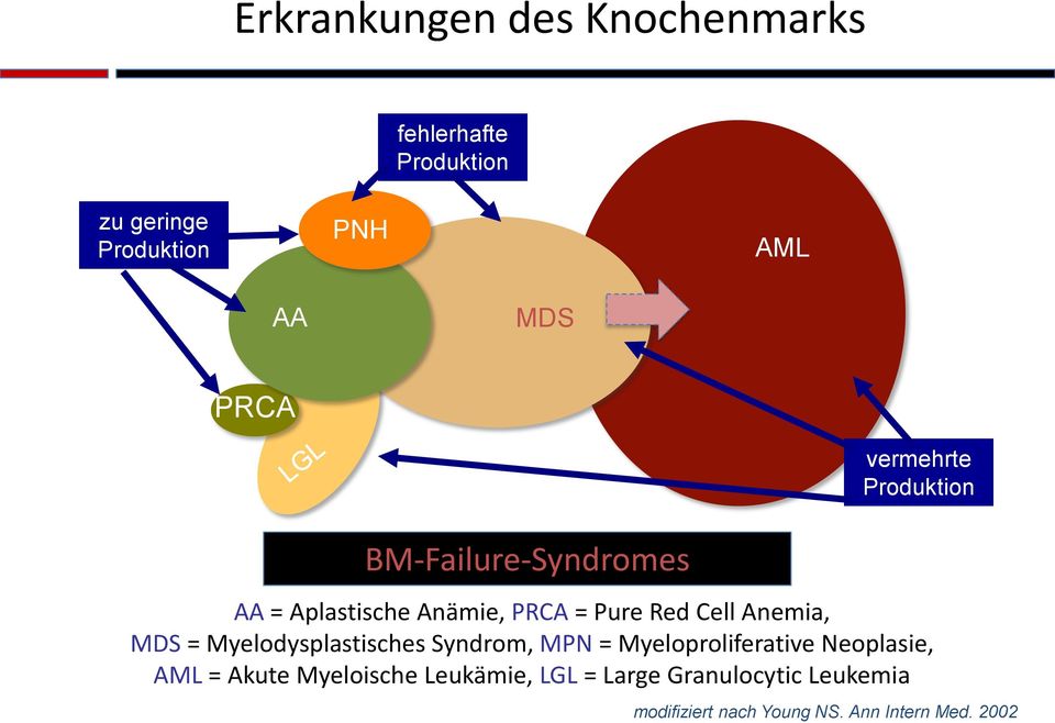 Anemia, MDS = Myelodysplastisches Syndrom, MPN = Myeloproliferative Neoplasie, AML = Akute