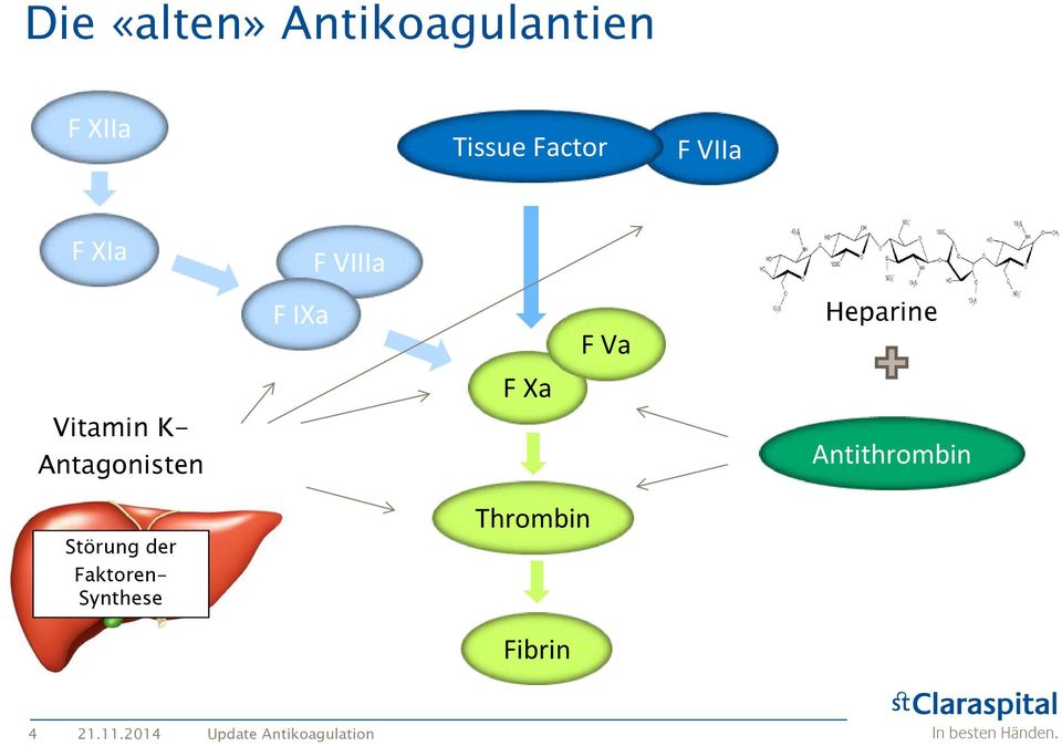IXa F VIIIa F Xa F Va Heparine Antithrombin