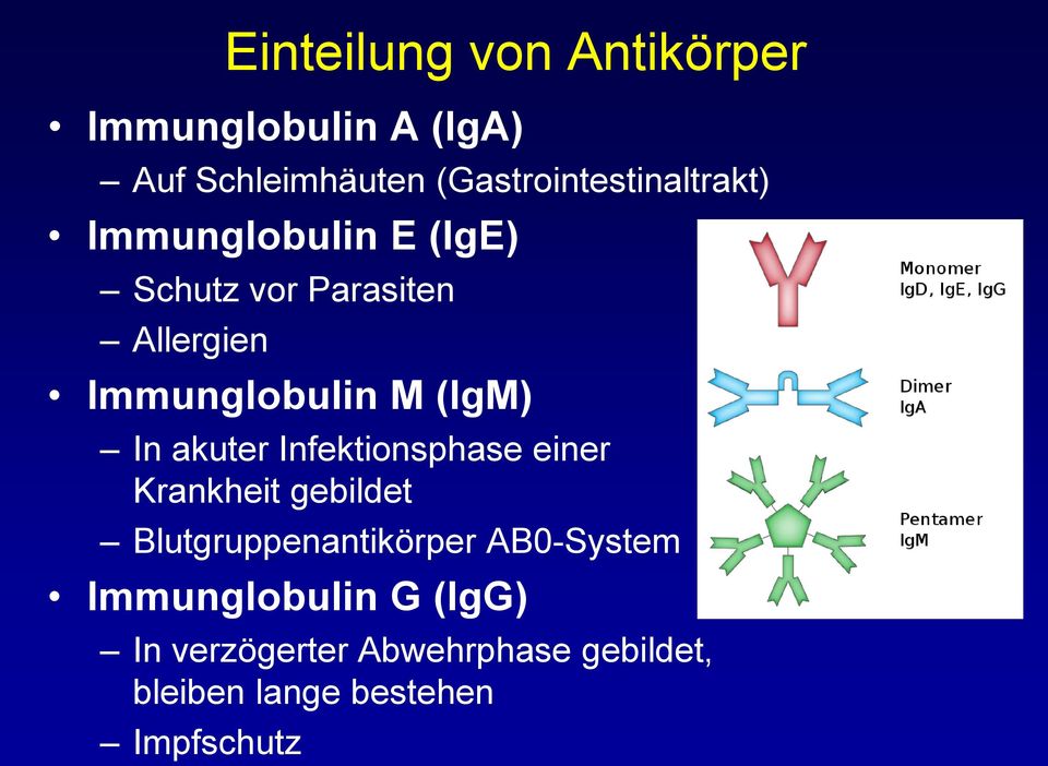 Immunglobulin M (IgM) In akuter Infektionsphase einer Krankheit gebildet