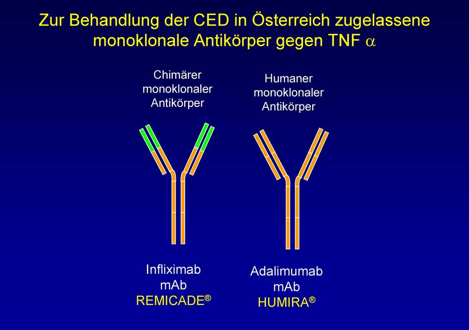 Chimärer monoklonaler Antikörper Humaner