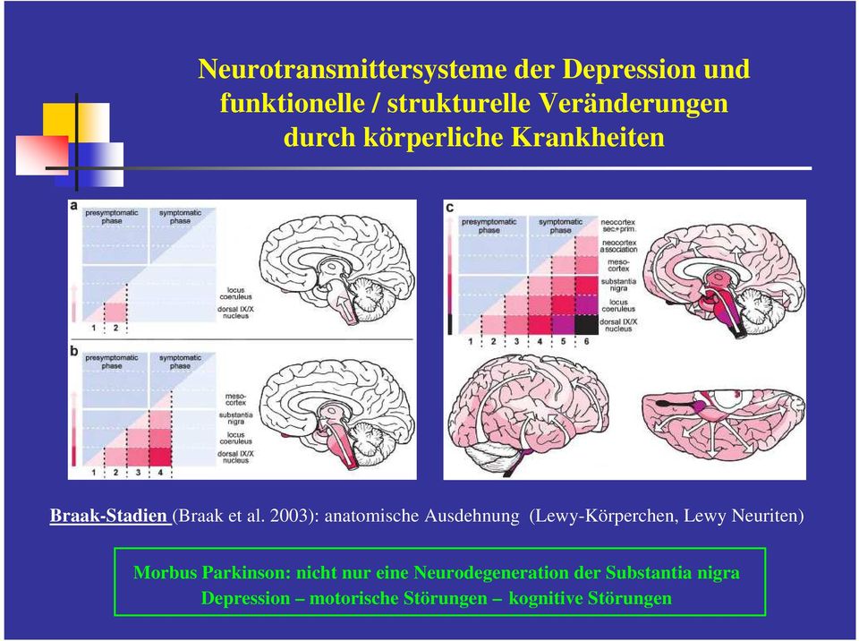 2003): anatomische Ausdehnung (Lewy-Körperchen, Lewy Neuriten) Morbus Parkinson: