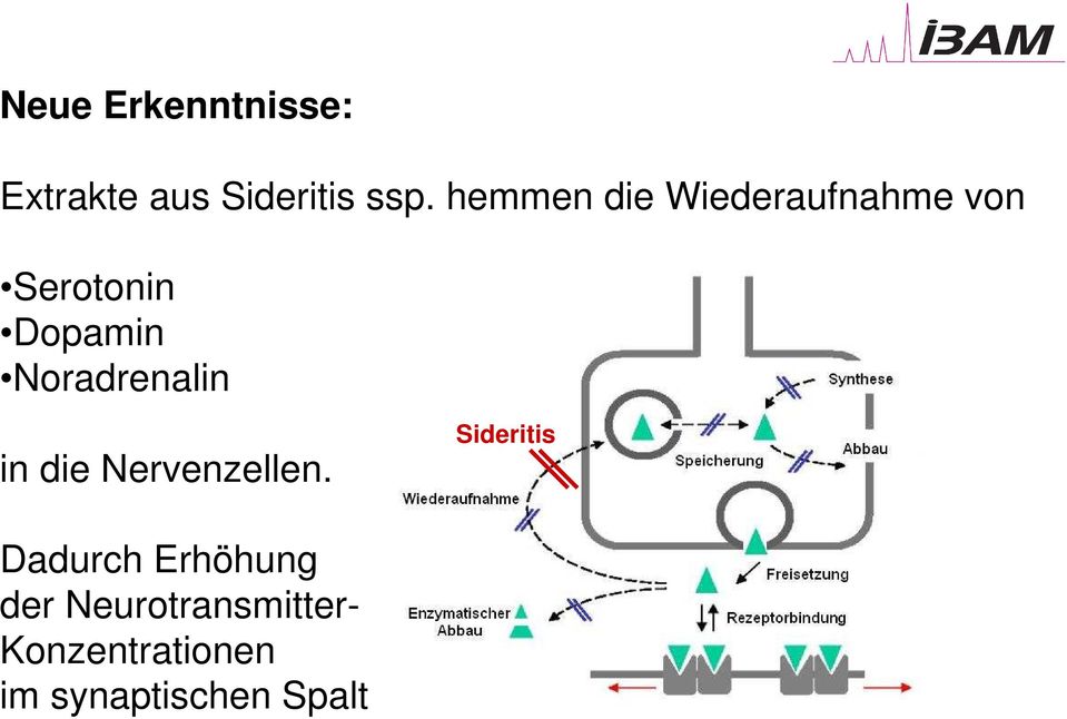 Noradrenalin in die Nervenzellen.