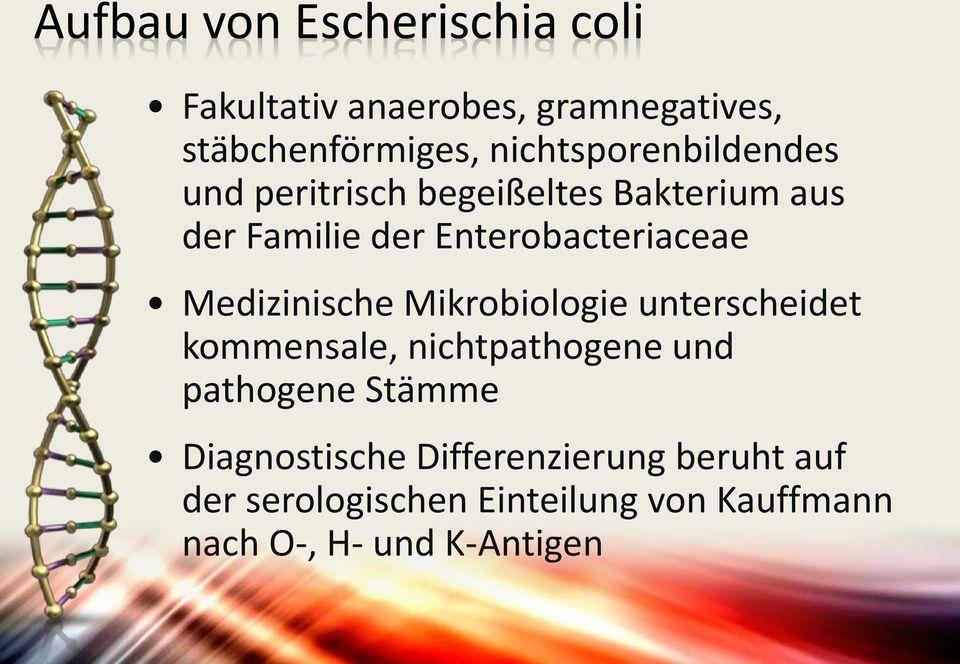 Enterobacteriaceae Medizinische Mikrobiologie unterscheidet kommensale, nichtpathogene und