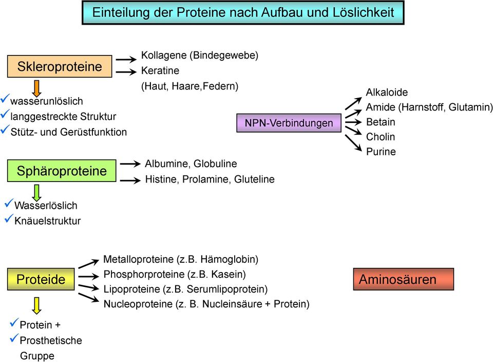 Alkaloide Amide (Harnstoff, Glutamin) Betain Cholin Purine Wasserlöslich Knäuelstruktur Proteide Protein + Prosthetische Gruppe