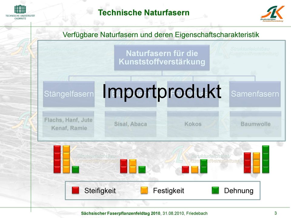 Stängelfasern Importprodukt Blattfasern Fruchtfasern Samenfasern