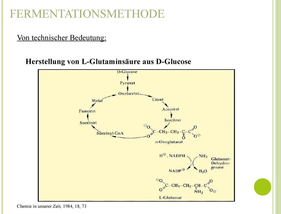 Herstellung von L-Glutaminsäure