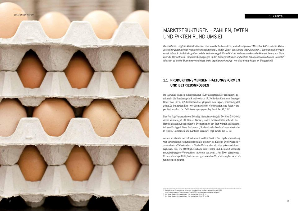 Was erfährt der Verbraucher durch die Kennzeichnung von Eiern über die Herkunft und Produktionsbedingungen in den Erzeugerbetrieben und welche Informationen bleiben im Dunkeln?