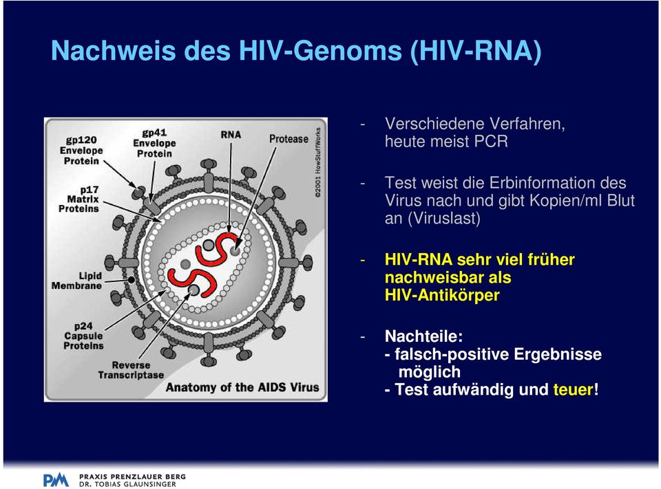 an (Viruslast) - HIV-RNA sehr viel früher nachweisbar als HIV-Antikörper -