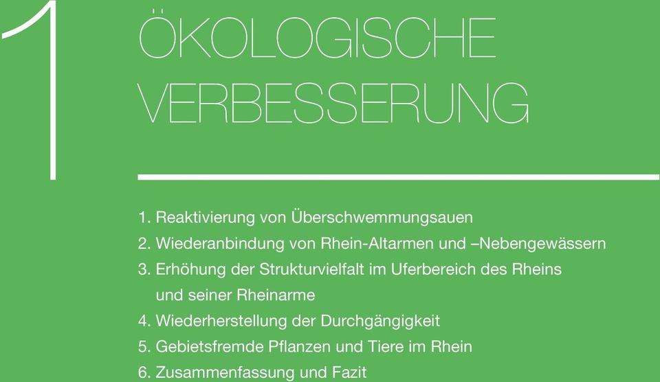 erhöhung der Strukturvielfalt im Uferbereich des Rheins und seiner Rheinarme 4.
