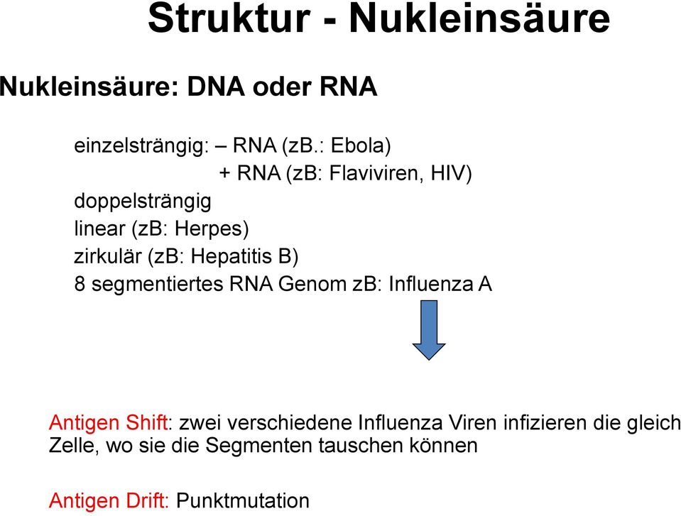 Hepatitis B) 8 segmentiertes RNA Genom zb: Influenza A Antigen Shift: zwei verschiedene