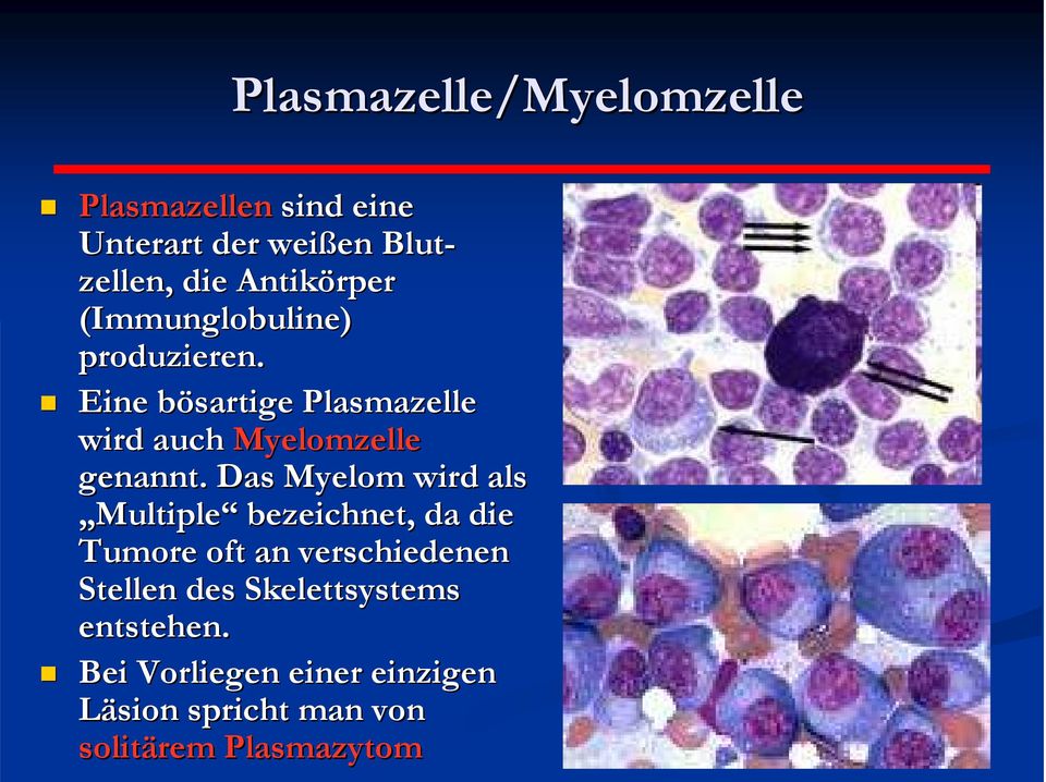 Eine bösartige b Plasmazelle wird auch Myelomzelle genannt.