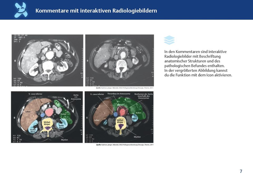 Strukturen und des pathologischen Befundes enthalten.