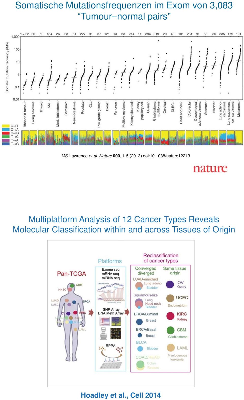 1038/nature12213 Multiplatform Analysis of 12 Cancer Types Reveals