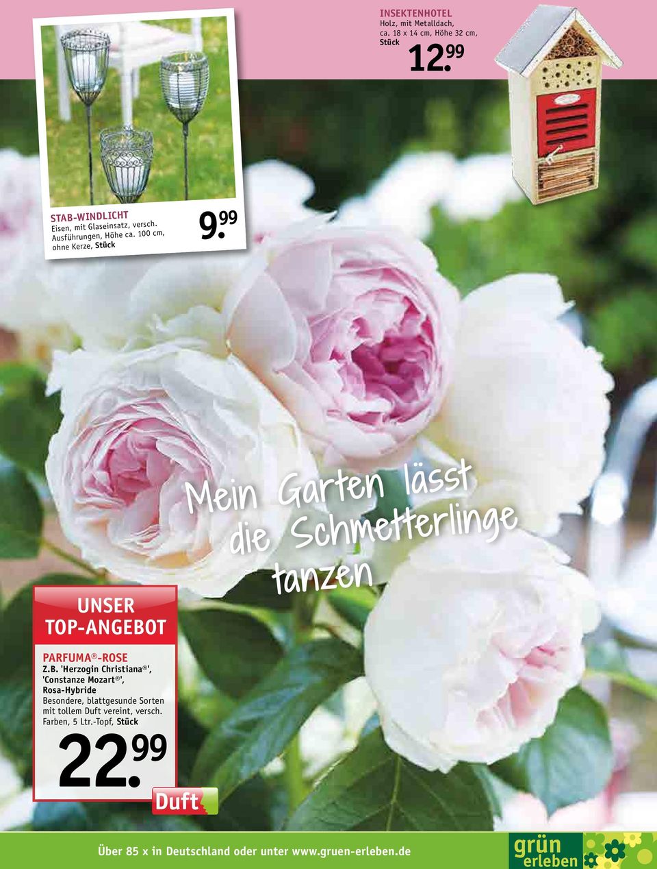 100 cm, ohne Kerze, Unser Mein Garten lasst die Schmetterlinge tanzen Parfuma -Rose Z.B.