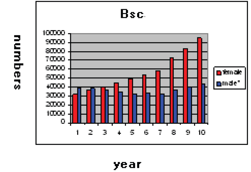 Andere Länder: Beispiel Iran Jahr 1996-2006 Jahr 1996-2006 Im Iran gab es mehr weibliche als männliche Physik-Bachelors!