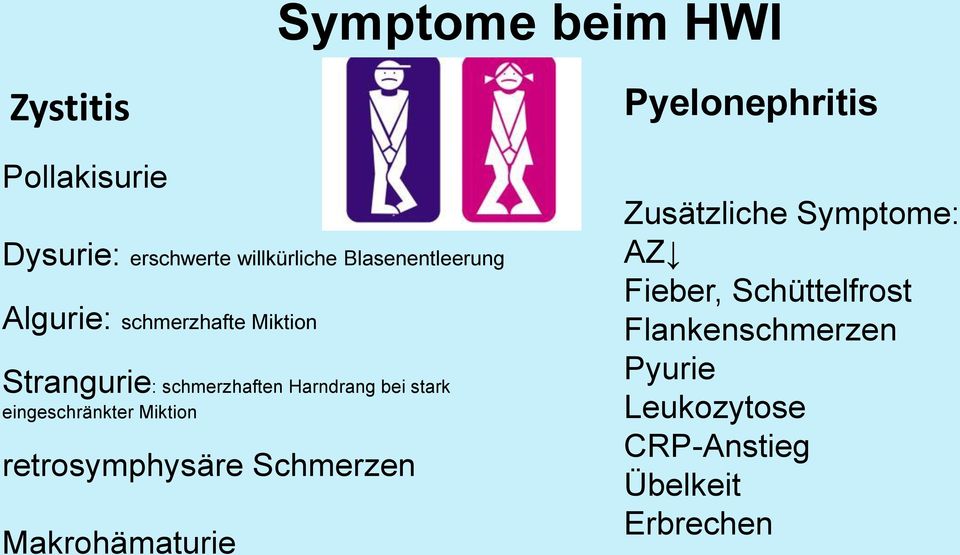 eingeschränkter Miktion retrosymphysäre Schmerzen Makrohämaturie Pyelonephritis