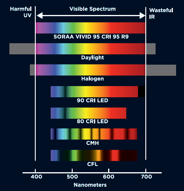 VIVID - Vollspektrum Alle Spektralanteile im sichtbaren Spektrum vorhanden Keine fehlenden Spektralbereiche wie bei Leuchtstoff- und