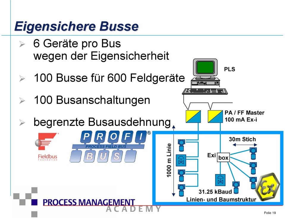 Busanschaltungen begrenzte Busausdehnung PLS PA / FF Master