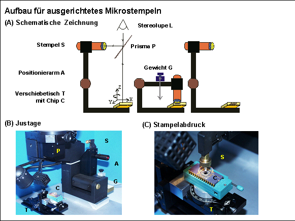 6.2 Ausgerichtete Mikrostrukturierung 6-9 Abbildung 6-3 Die Ausrichtung des Mikrostempels auf die Oberfläche des Sensorchips erfolgt unter optischer Kontrolle mit einer speziellen Positioniereinheit.
