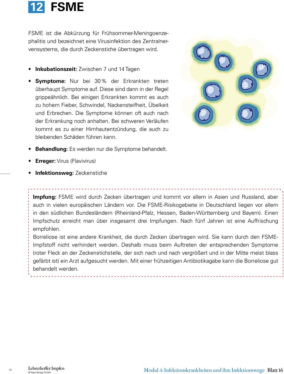 Bei einigen Erkrankten kommt es auch zu hohem Fieber, Schwindel, Nackensteifheit, Übelkeit und Erbrechen. Die Symptome können oft auch nach der Erkrankung noch anhalten.