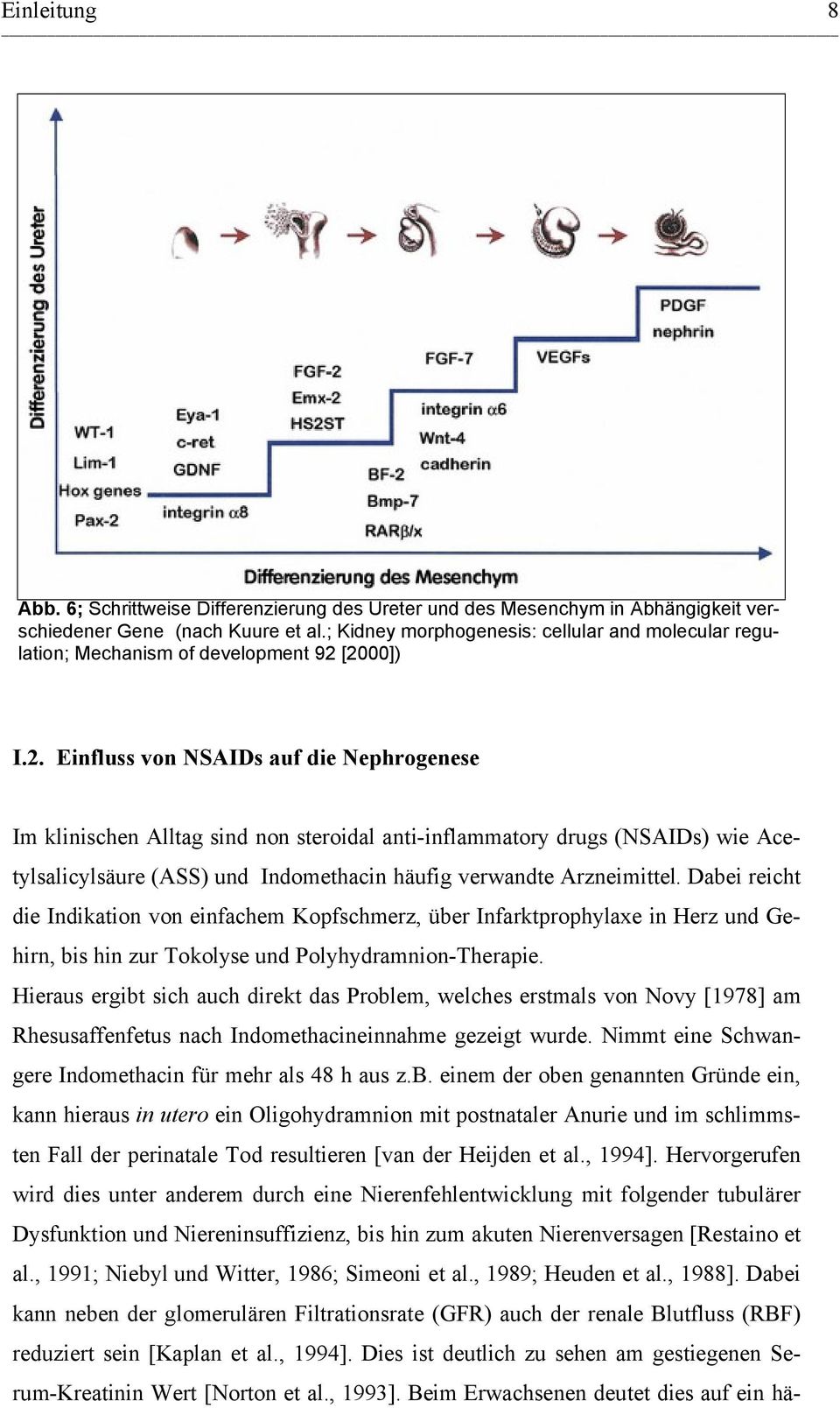 [2000]) I.2. Einfluss von NSAIDs auf die Nephrogenese Im klinischen Alltag sind non steroidal anti-inflammatory drugs (NSAIDs) wie Acetylsalicylsäure (ASS) und Indomethacin häufig verwandte Arzneimittel.