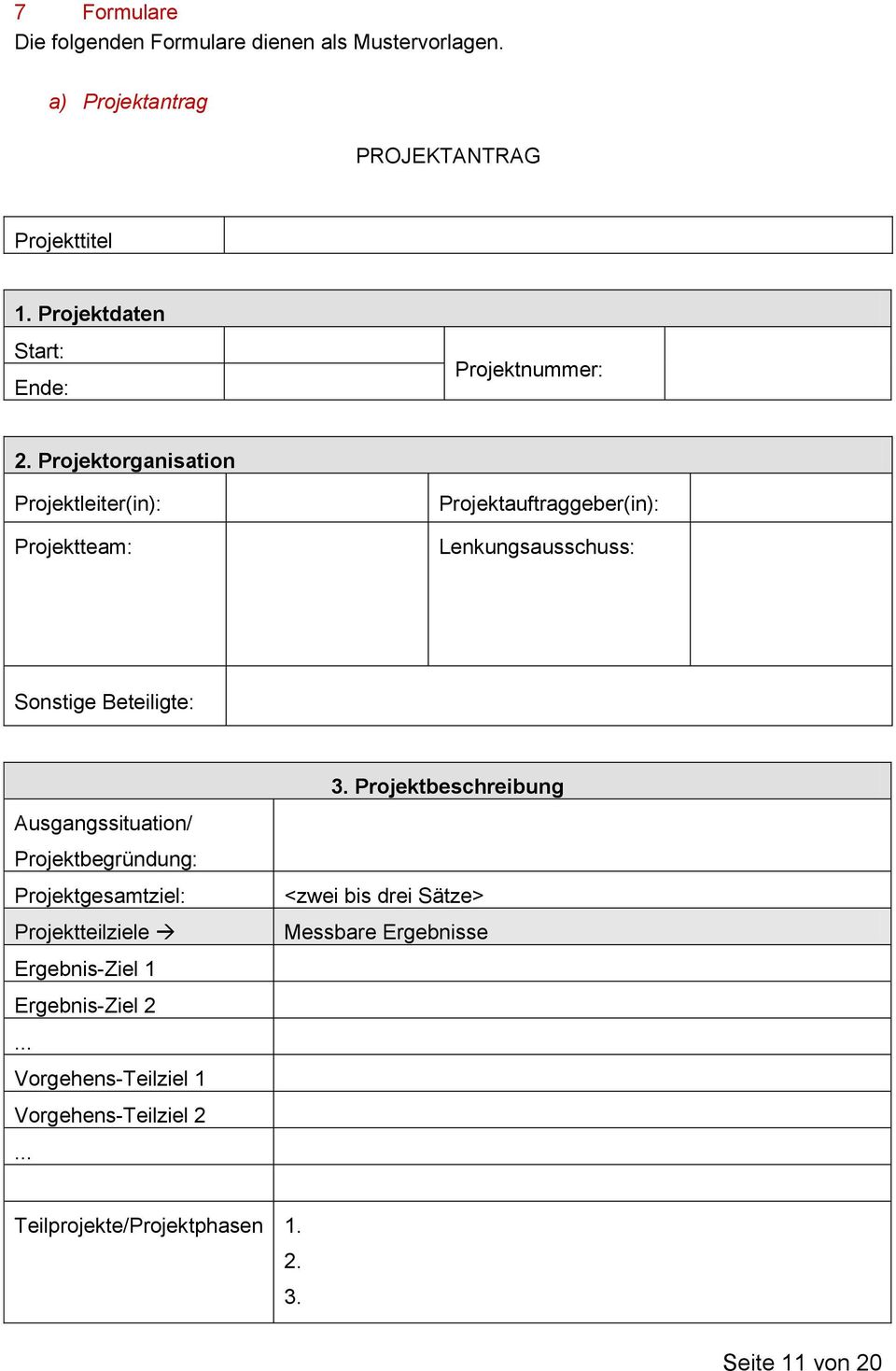 Projektorganisation Projektleiter(in): Projektteam: Projektauftraggeber(in): Lenkungsausschuss: Sonstige Beteiligte: Ausgangssituation/