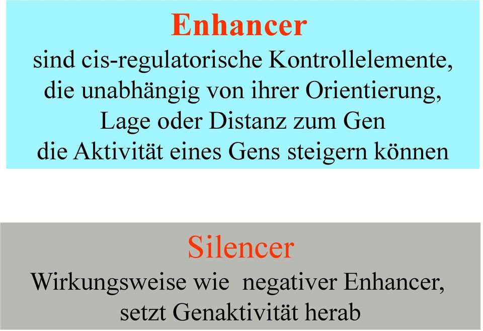 Gen die Aktivität eines Gens steigern können Silencer