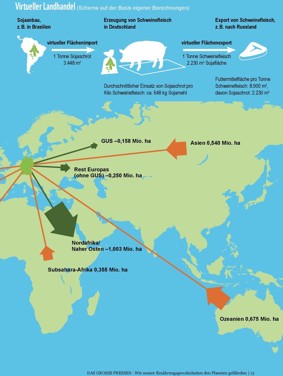 648 kg Sojamehl Futtermittelfläche pro Tonne Schweinefleisch: 8.900 m 2, davon Sojaschrot: 2.230 m 2 GUS 0,158 Mio. ha Asien 0,540 Mio. ha Rest Europas (ohne GUS) 0,250 Mio.